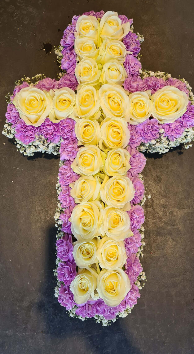 Medium gr. | ab 149€