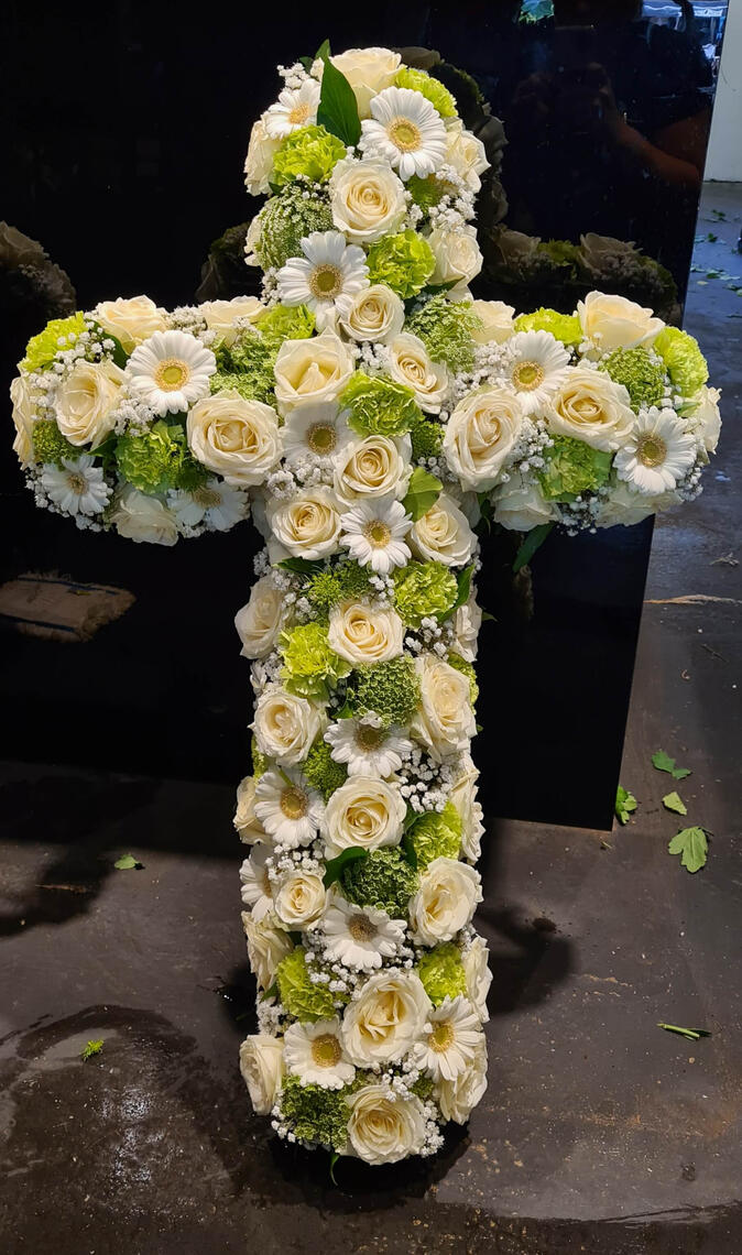 Medium gr. | ab 149€