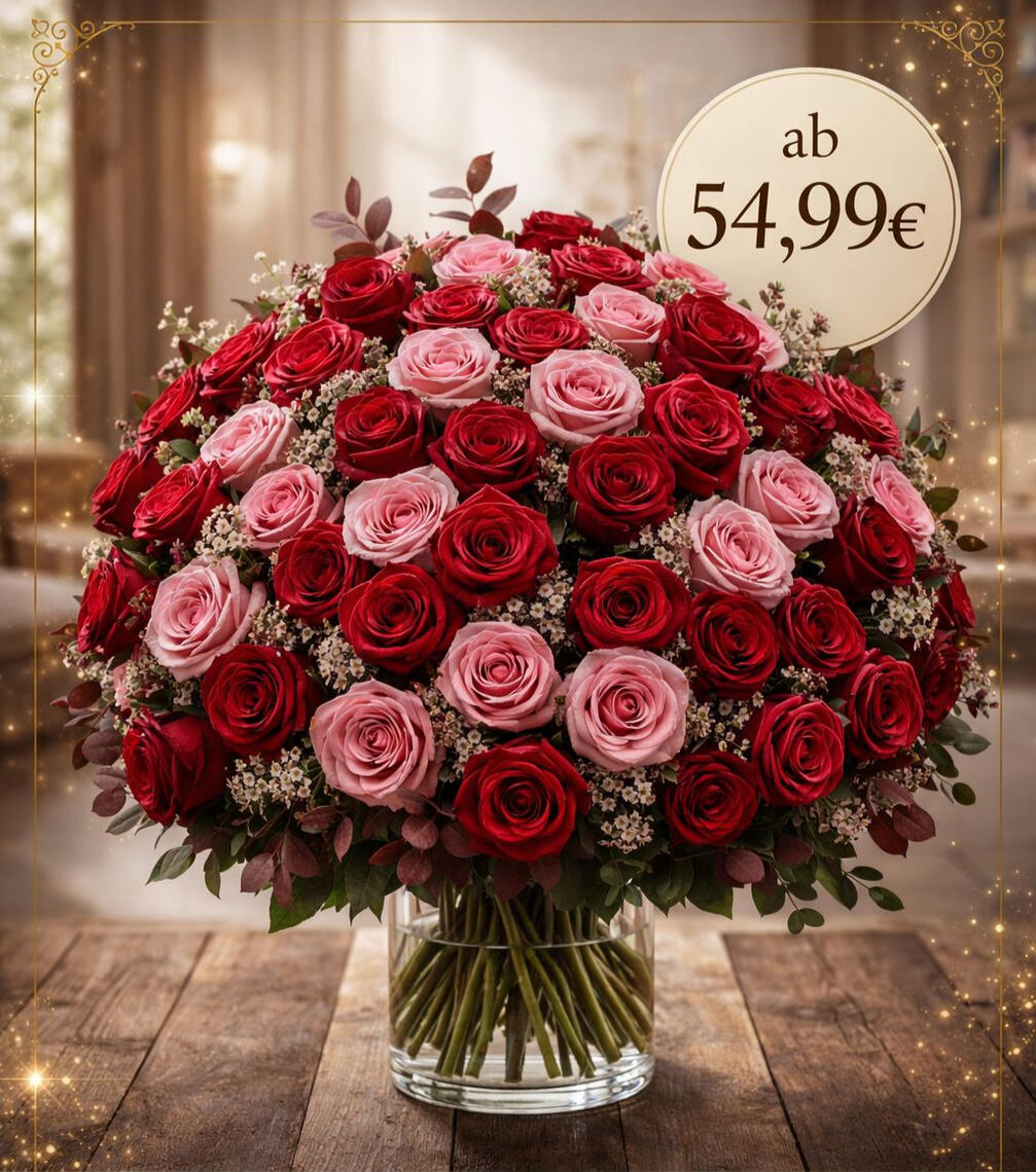 Premium | 54,99€ a week